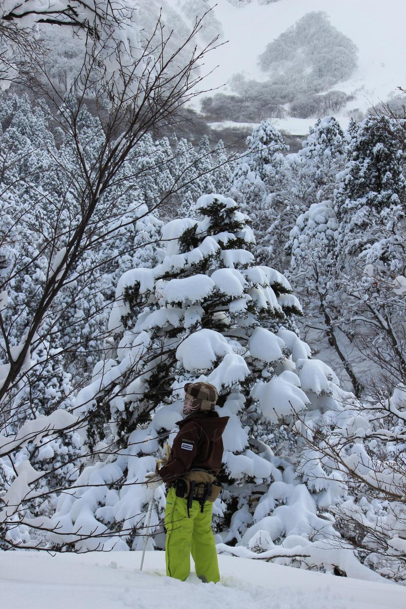 Shukubo Kansho-In Temple Sanrakuso Daisen  Buitenkant foto