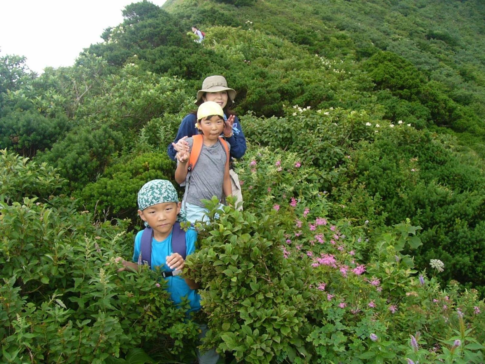 Shukubo Kansho-In Temple Sanrakuso Daisen  Buitenkant foto