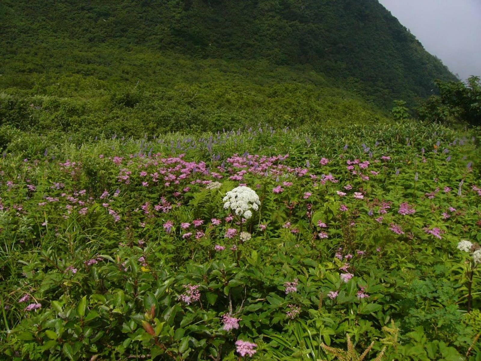 Shukubo Kansho-In Temple Sanrakuso Daisen  Buitenkant foto